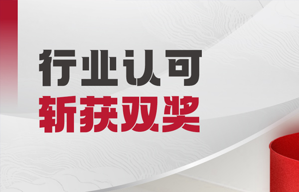 AI能力贏得行業(yè)認(rèn)可，長(zhǎng)亮科技獲得“特別貢獻(xiàn)單位”等榮譽(yù)